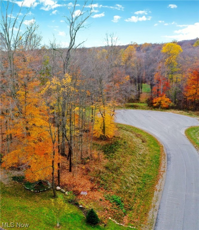 McFarland Woods Phase II - Land