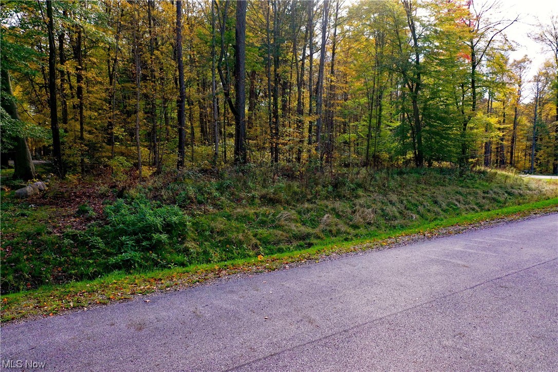 McFarland Woods Phase II - Land