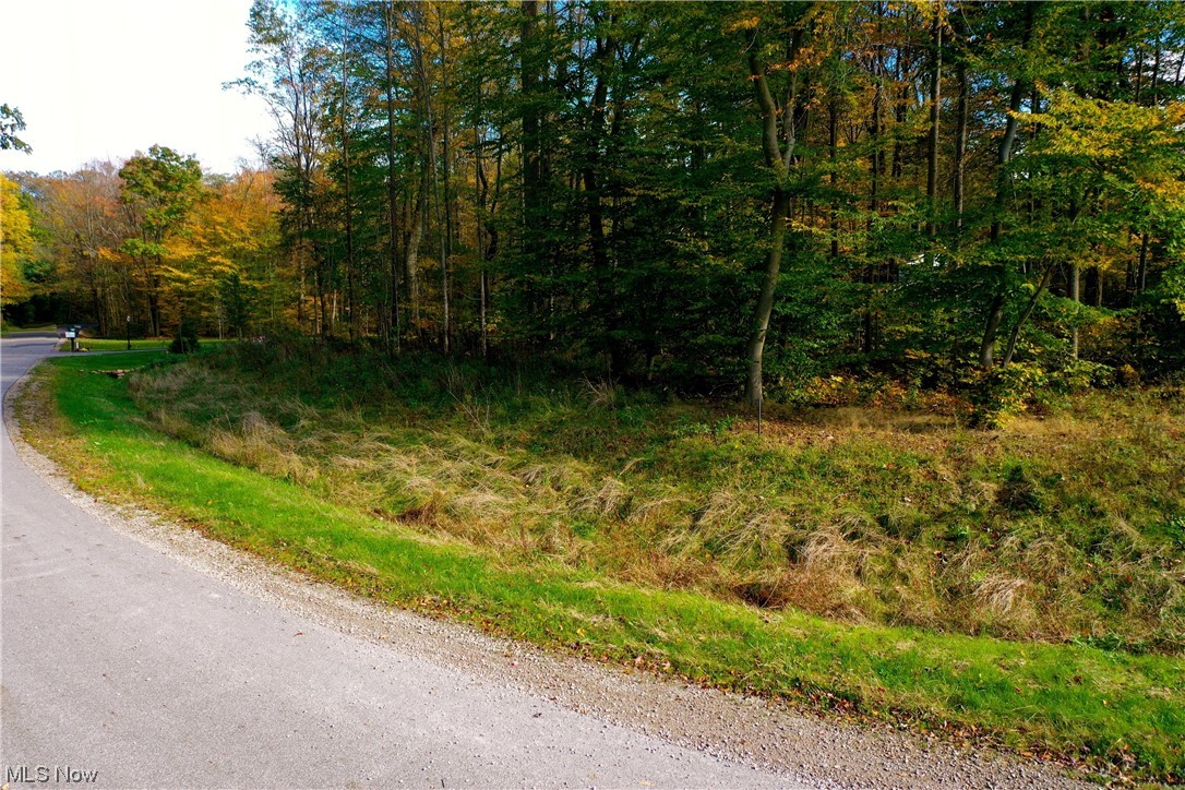 McFarland Woods Phase II - Land