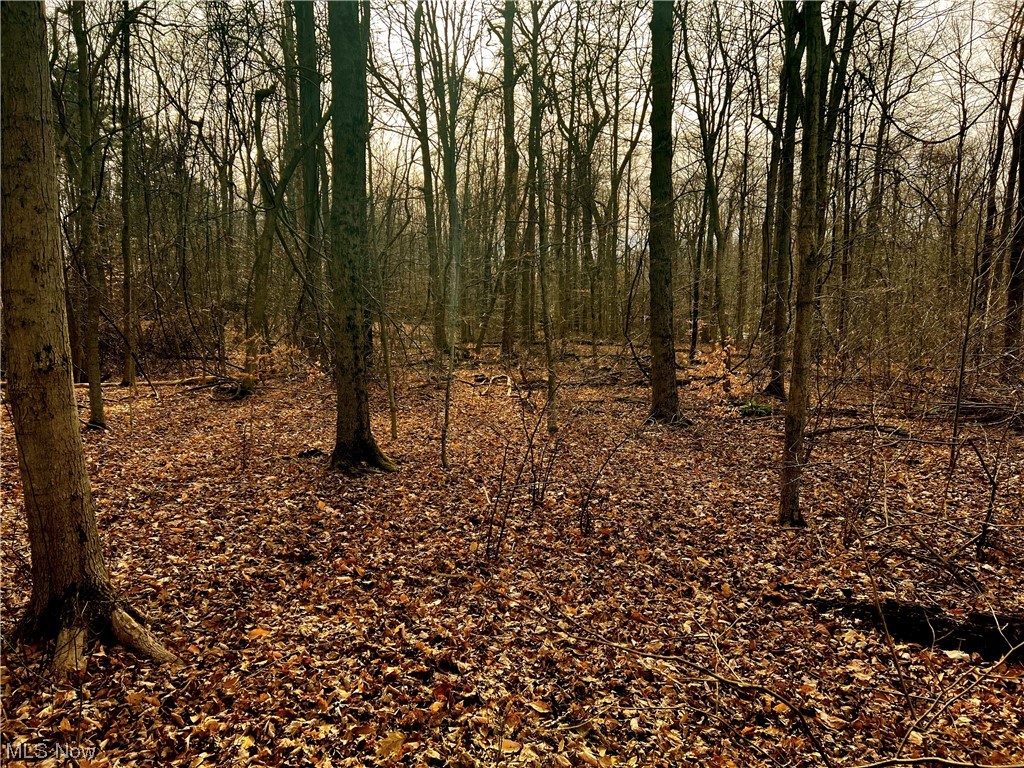 McFarland Woods Phase II - Land