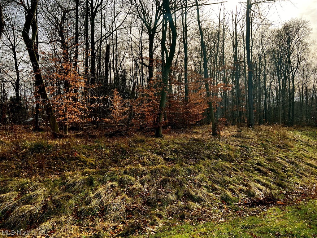 McFarland Woods Phase II - Land