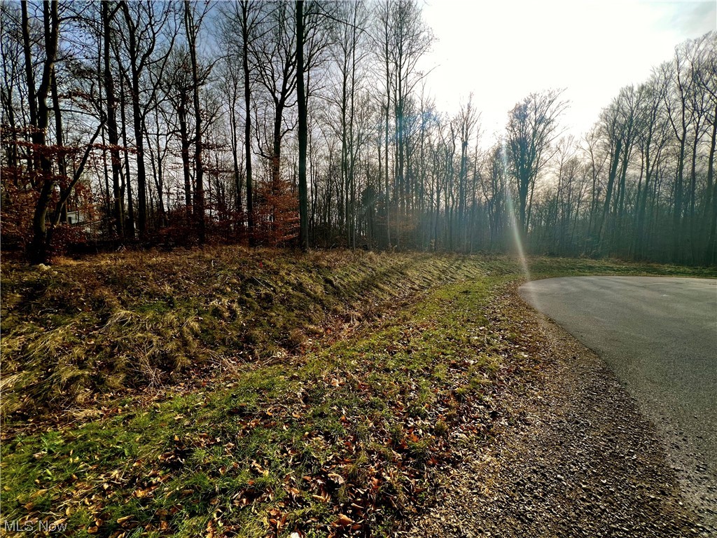 McFarland Woods Phase II - Land