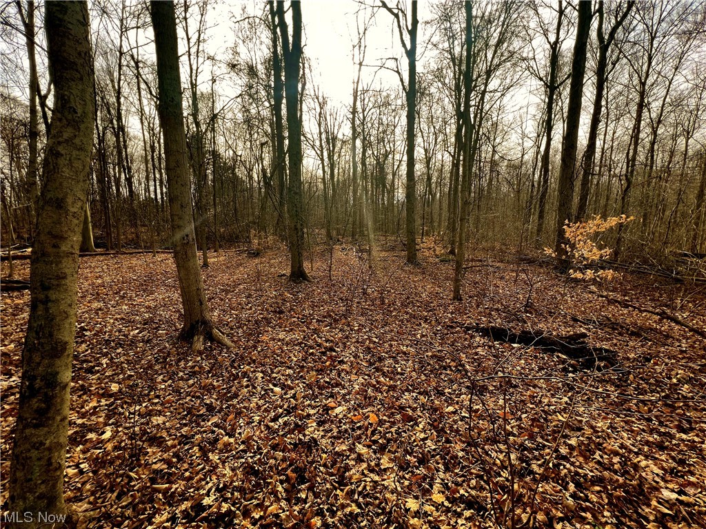 McFarland Woods Phase II - Land