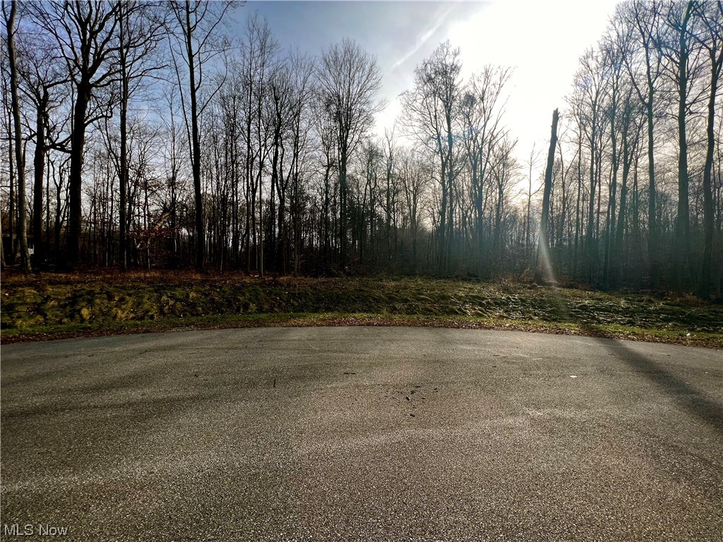 McFarland Woods Phase II - Land