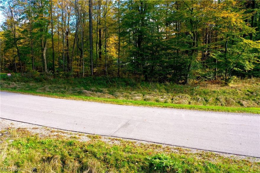 Look no further!  Welcome to this absolutely beautiful scenic rare 3 acre wooded homesite in Bainbridge Township(no city tax) located on a cul-de-sac. This is a fantastic opportunity to build your Dream Home with your choice of builders and finishes in a serene quiet location with mature trees and a rolling topography.  Enjoy your own private oasis away from the city while being centrally located to everything you need including shopping, dining and downtown Chagrin Falls.  Build your spacious dream home here while maintaining the privacy that cannot be found elsewhere. Privacy, Luxury, Dream Home, Convenient Location and Highly Ranked Schools are all made possible with this LOT in McFarland Woods Phase II. Call for more details regarding minimum architectural restrictions and minimum square feet for this Lot! Don't miss out on this property. Call to walk the lot or to discuss building! With extremely low inventory, now is the perfect time to build your dream home!