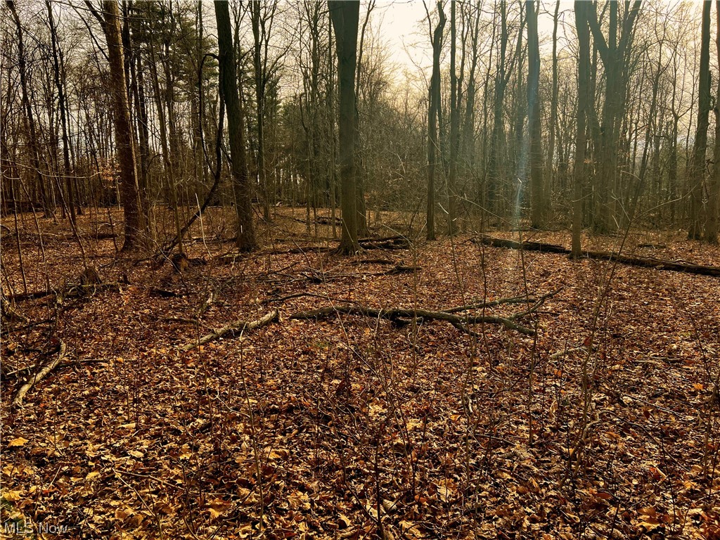 McFarland Woods Phase II - Land