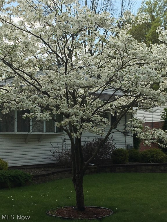 Mogadore Heights - Residential