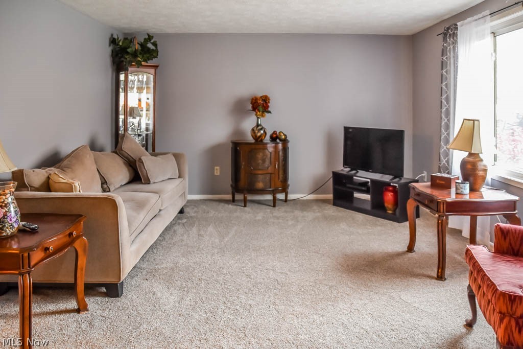 Longview Estates 01 - Residential