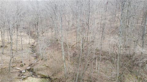 Tiny photo for 39460 Opossum Creek Road, Sardis, OH 43946 (MLS # 5198053)