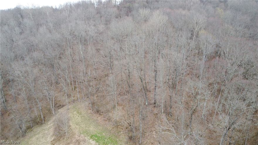 Discover 35 acres of prime hunting land offering the perfect blend of seclusion, natural beauty, and utility. This expansive property is rich with wildlife and features a state-drilled 90-ft well, along with 200 amp electric service on one end and 100 amp service near the driveway for added convenience. With an abundance of mature timber, this land also presents excellent potential for lumber or future development. Whether you're looking for a private retreat, hunting haven, or investment opportunity, this property is ready to deliver.