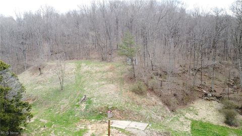 Tiny photo for 39460 Opossum Creek Road, Sardis, OH 43946 (MLS # 5198053)