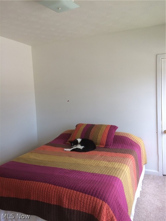 Brecksville - Residential