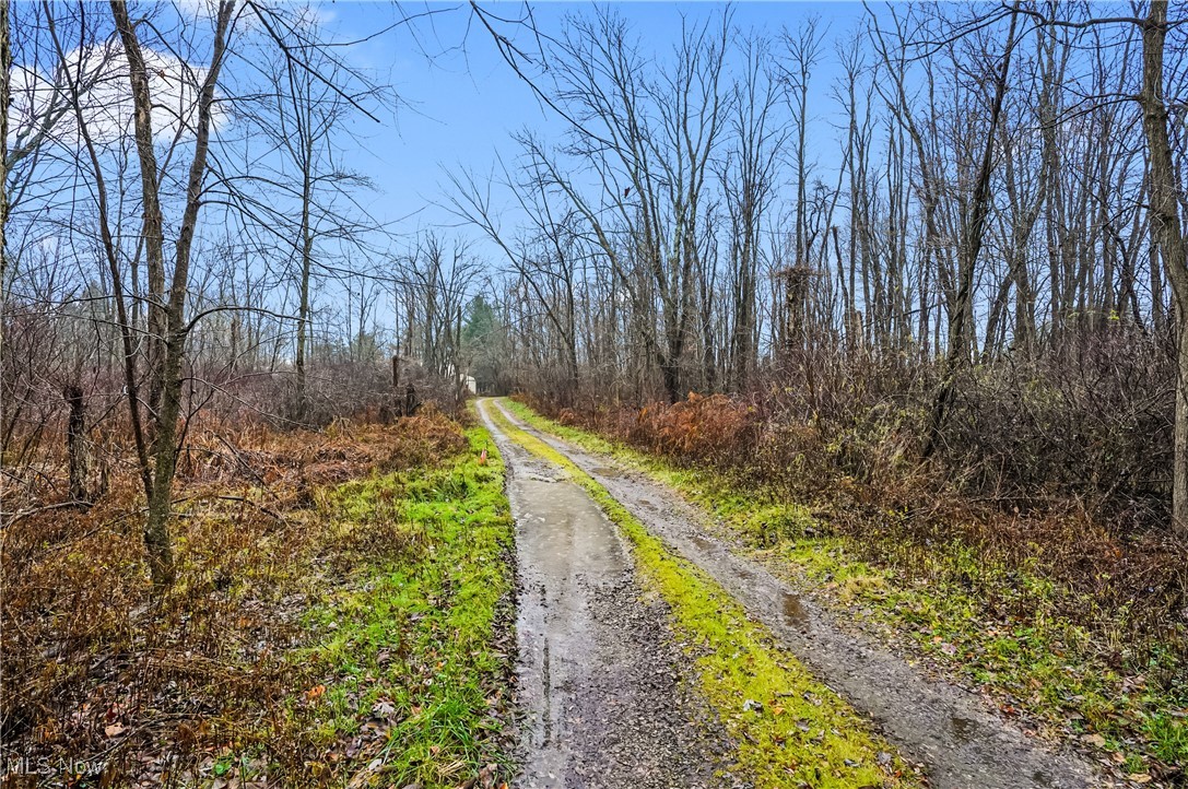 Freedom - Residential