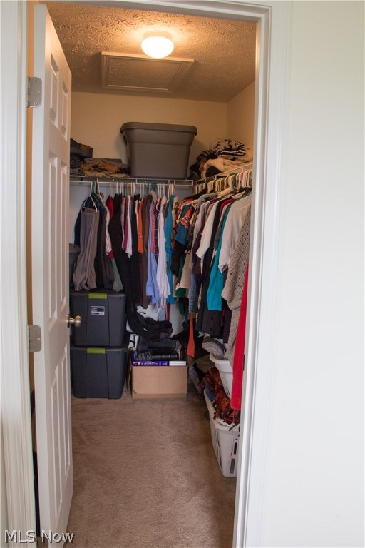 Shale Creek - Residential