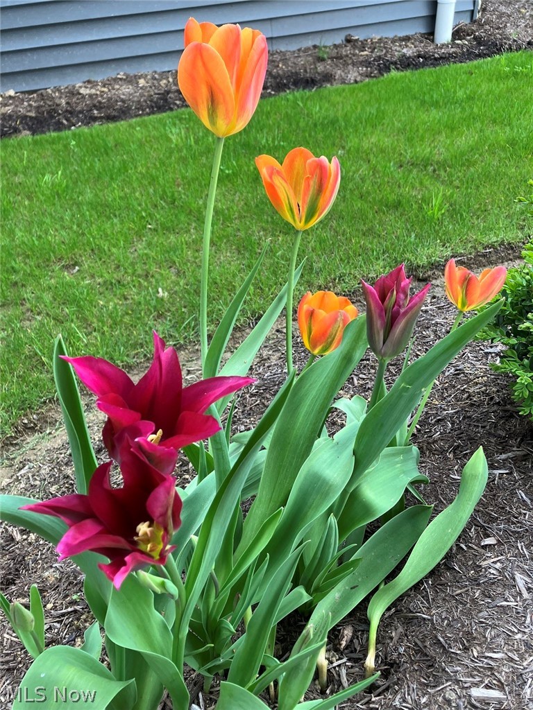 New Seasons Ph Two - Residential