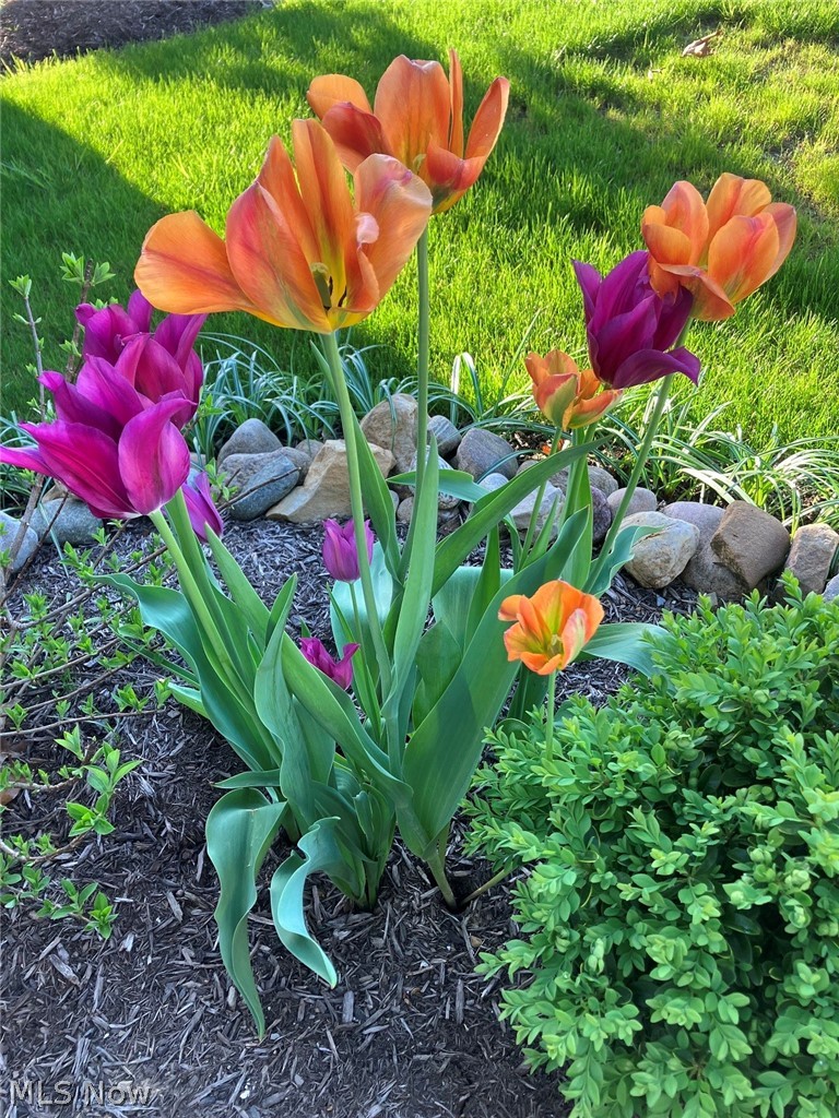 New Seasons Ph Two - Residential