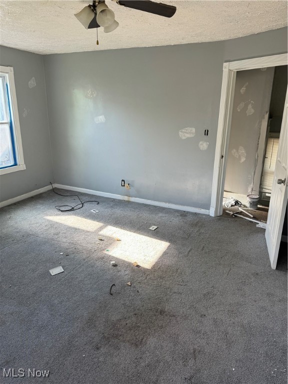 311 E Lucius, Youngstown, Ohio image 26