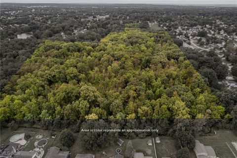 356 Lakewood Avenue Brunswick OH 44212