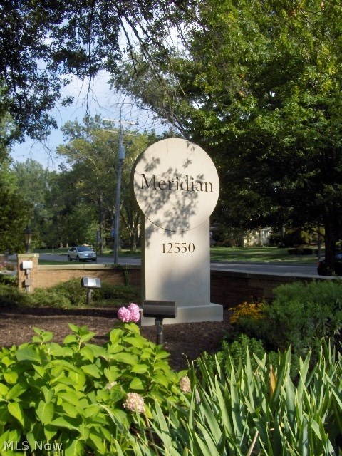 Meridian Condo - Residential