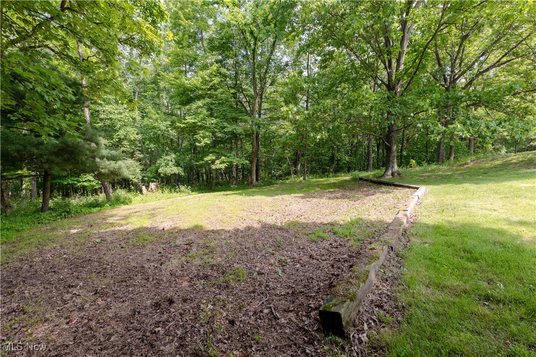 41510 Alderlick Road, Wellsville, Ohio image 35
