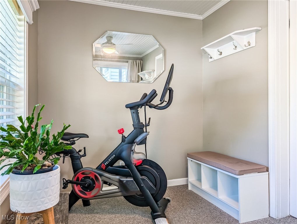 University Heights, Ohio 44118, United States, 4 Bedrooms Bedrooms, ,2 BathroomsBathrooms,Residential,Active,238661