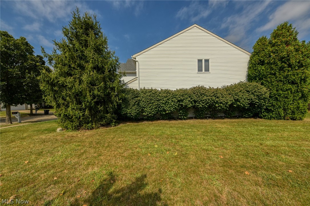 Springfield Terrace - Residential