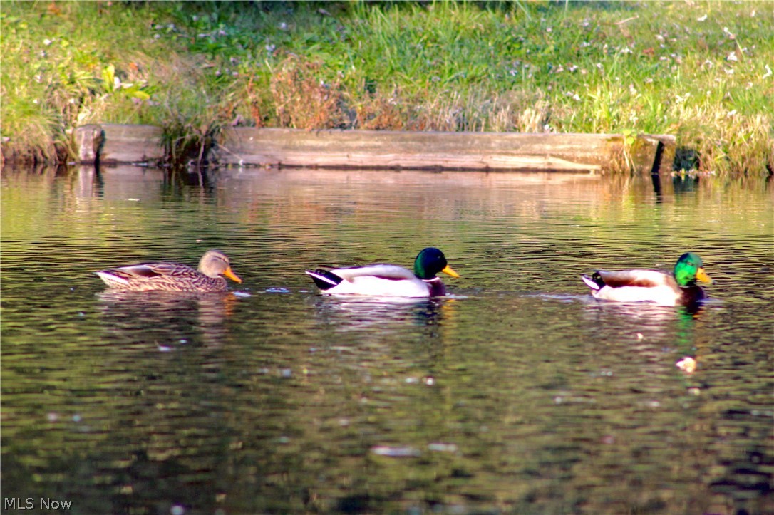 Fairmount East - Residential