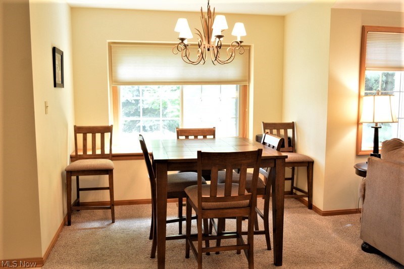 Robin Ridge Condo - Residential