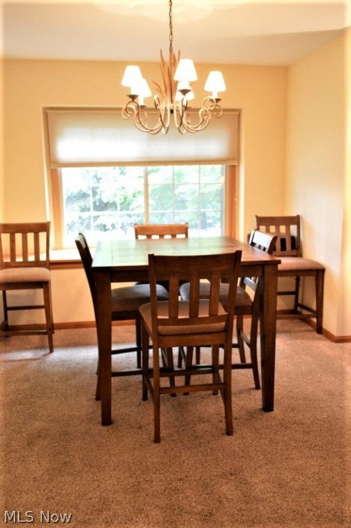 Robin Ridge Condo - Residential