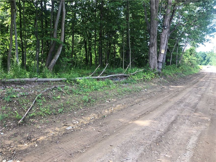 Looking a unique property? Here it is. 16 acres of nothing but nature! Property is located near Cleveland Museum Of Natural History property. Artesian spring located on the property. 40 ft. waterfall that flows into the Conneaut Creek. A mixture of flat land & ravines make this property perfect for hunting, fishing or build a cabin for all your ATV/outdoor fun. Secluded in nature, lots of deer & turkey call this property home! Come take a look today!