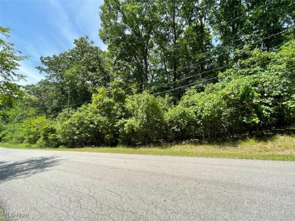 47080 Tomahawk Drive, Negley, Ohio image 6