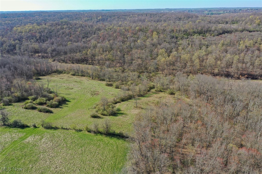 45559 Old Hopedale Road, Cadiz, Ohio image 14
