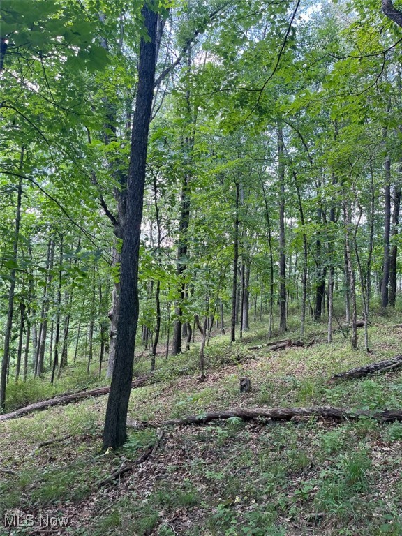 45559 Old Hopedale Road, Cadiz, Ohio image 23