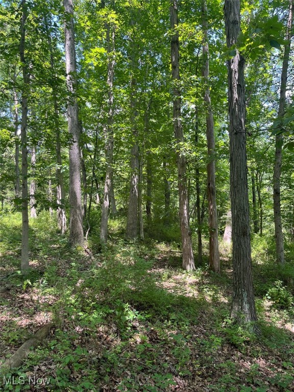 45559 Old Hopedale Road, Cadiz, Ohio image 17