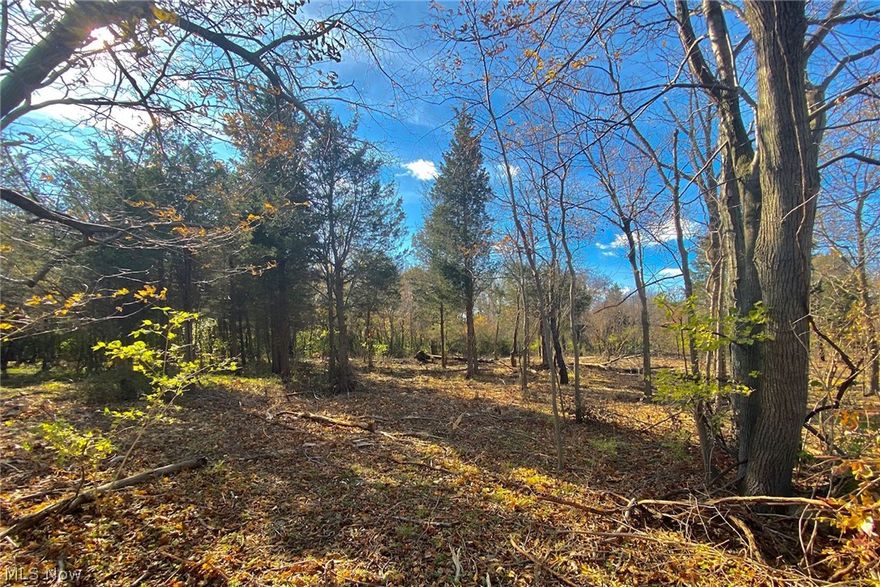 108 x 168 Buildable Partially Wooded Lot Is Ready For Your Island Dream Home! Site and Soil Review Has Been Performed. Lot Is Subject To Final Septic Approval and Private Water Service Approval By Erie County Board Of Health. Lots for sale are the two westerly parcels of the four pictured.  The adjacent Lots are also available.