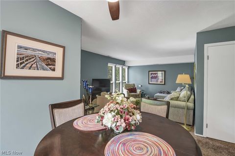 Tiny photo for 33803 Electric Boulevard #C22, Avon Lake, OH 44012 (MLS # 5210710)