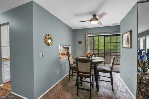 Tiny photo for 33803 Electric Boulevard #C22, Avon Lake, OH 44012 (MLS # 5210710)