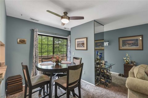 Tiny photo for 33803 Electric Boulevard #C22, Avon Lake, OH 44012 (MLS # 5210710)