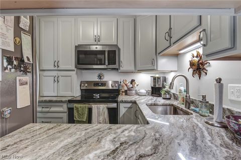 Tiny photo for 33803 Electric Boulevard #C22, Avon Lake, OH 44012 (MLS # 5210710)