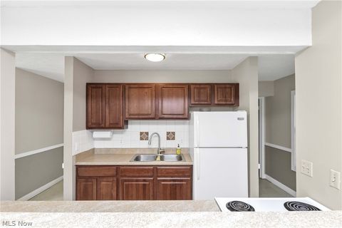 Tiny photo for 33803 Electric Boulevard #C22, Avon Lake, OH 44012 (MLS # 5210710)