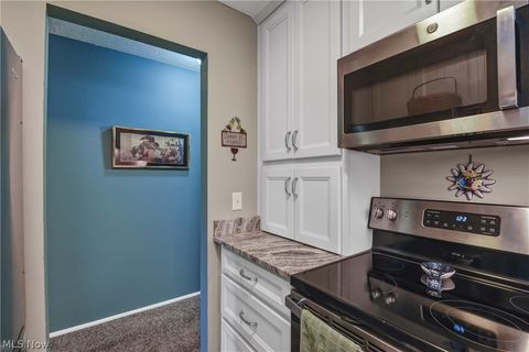 Tiny photo for 33803 Electric Boulevard #C22, Avon Lake, OH 44012 (MLS # 5210710)