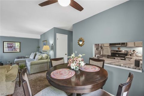 Tiny photo for 33803 Electric Boulevard #C22, Avon Lake, OH 44012 (MLS # 5210710)