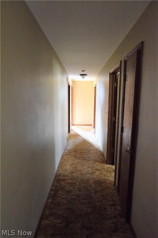 Runnymede 01 - Residential