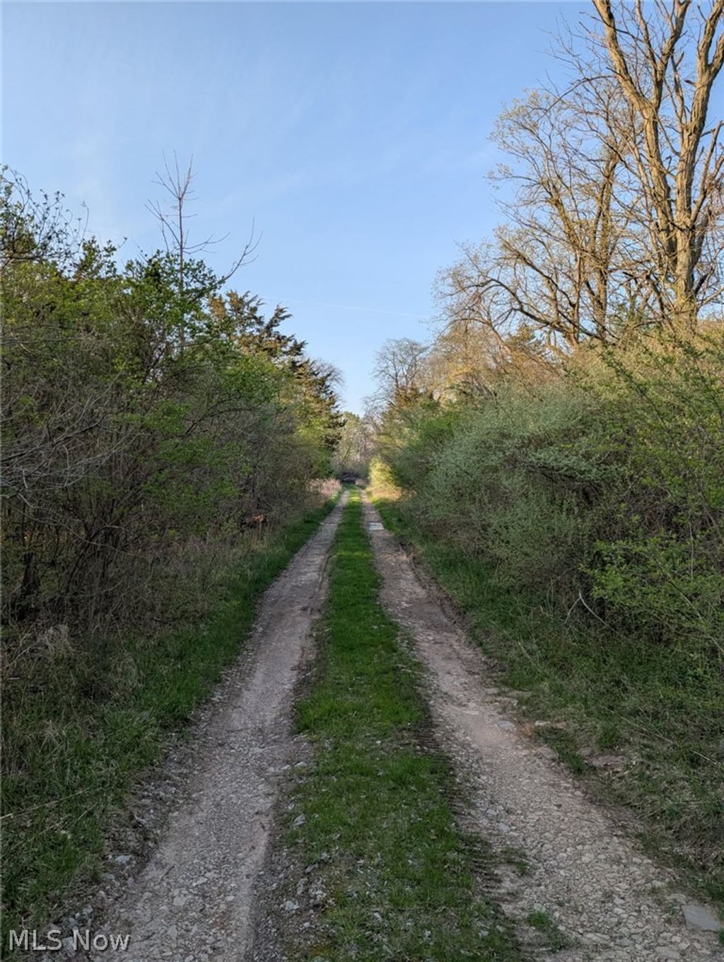 Photo of 115 Beech Street, Kelleys Island, OH 43438 (MLS # 5194367)