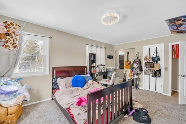 Mary Fenn Acres - Residential