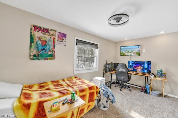 Mary Fenn Acres - Residential