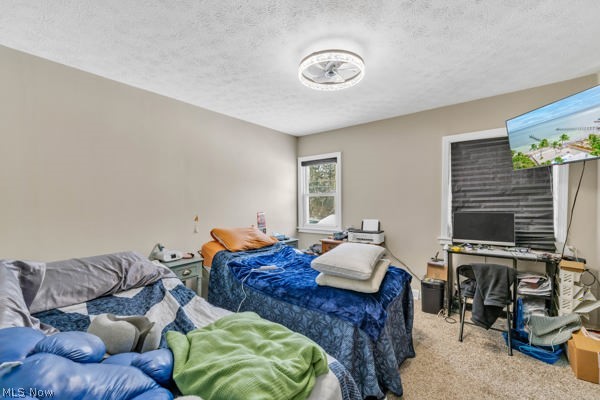 Mary Fenn Acres - Residential