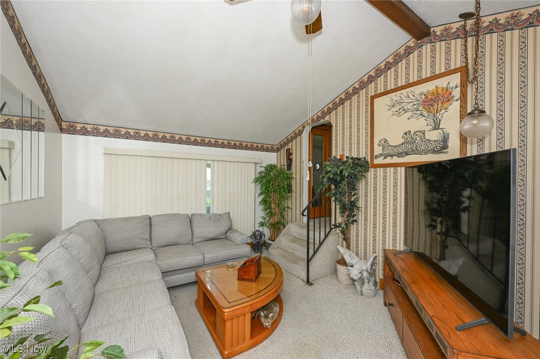 Collinwood - Residential