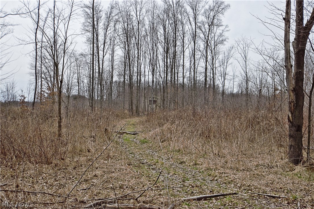 Kirtland - Residential