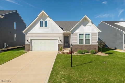 8896 Firethorne Drive, Columbia Station, OH 44028 - #: 5162472